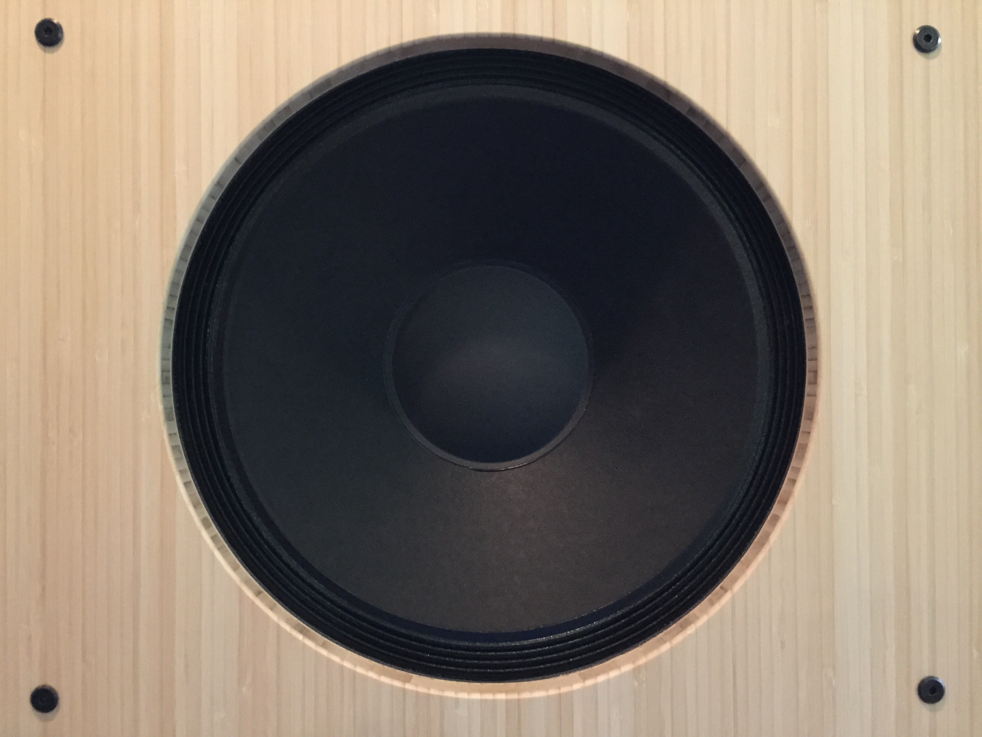 Pure Audio Project 15 inch Open Baffle Woofers