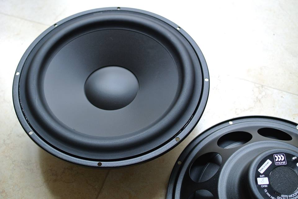 Pure Audio Project 10″ Bass & Mid Woofer for Open Baffle